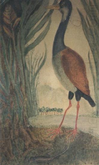 Wader, Henri Rousseau